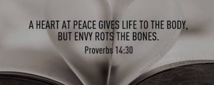 Proverbs 14-30